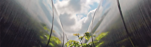 Products Fig 01 Synergi