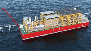 Fig Wison Top Image 1