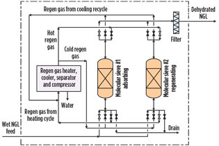 GP0816 Chen And Liu Fig 01